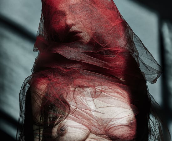 Carli Hermès, Reflections II - Blinded