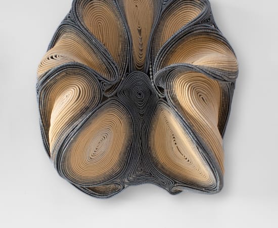 Joana Schneider, Future Fossil Carnation