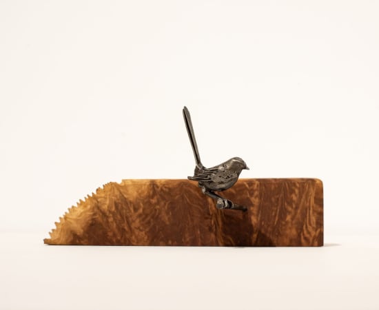 Jason Wooldridge, Fairy Wren, 2024