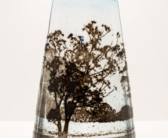 Anne Sorensen, Eucalyptus Series, 2023