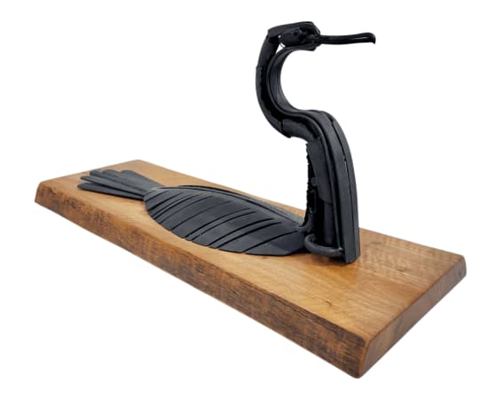 Jason Wooldridge, Swimming Cormorant
