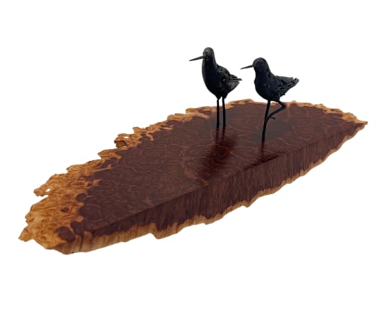 Jason Wooldridge, Wading Birds