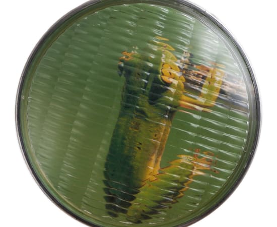 œuvre unique de l'artiste Thomas Mailender rerpésentant une photographie vintage de magazine montée sous un phare de voiture