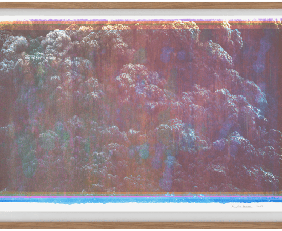 Thu Van Tran, Les Couleurs du gris (31/55), 2023