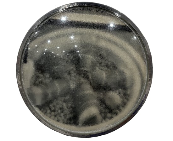 Thomas Mailaender, Les lentilles, 2025