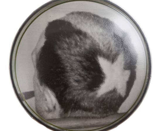 œuvre unique de l'artiste Thomas Mailender rerpésentant une photographie vintage de magazine montée sous un phare de voiture