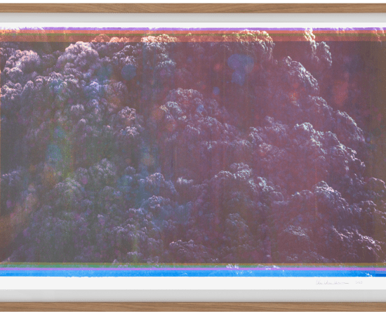 Thu Van Tran, Les Couleurs du gris (28/55), 2023