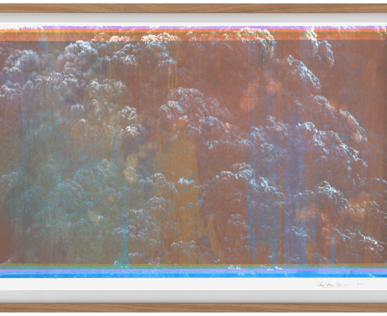 Thu Van Tran, Les Couleurs du gris (35/55), 2023