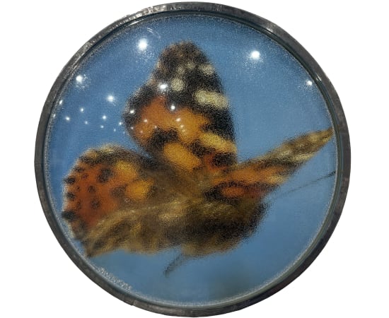 Thomas Mailaender, Les lentilles, 2025