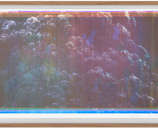 Thu Van Tran, Les Couleurs du gris (20/55), 2023