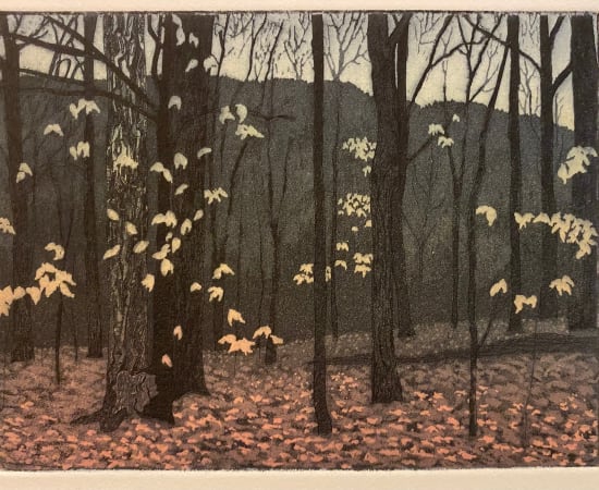 Sarabeth Noggle, Damp Days Edition 4/20, 2024