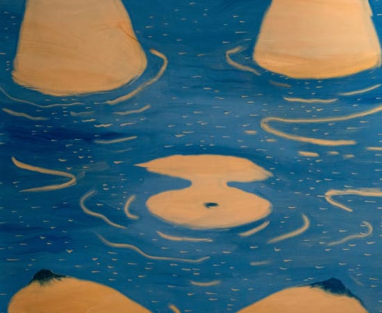 Sylvia Fernández, Nuevas islas /New Islands, 2022