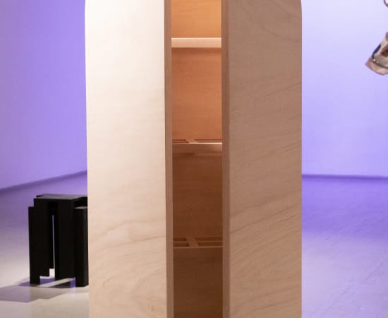 Paulius Vitkauskas, Non-Closing Shelf, 2018-2019