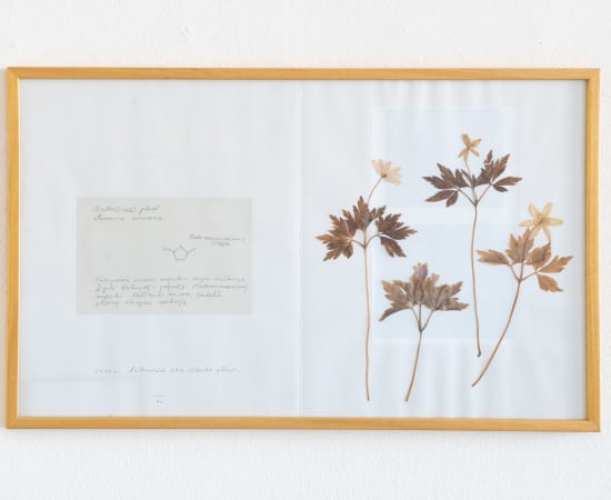 Laura Garbštienė, Iš ciklo "Gamtos pažinimo kambarys" (77 vnt.) / From cycle "Room of nature studies" (77 pieces), 2012