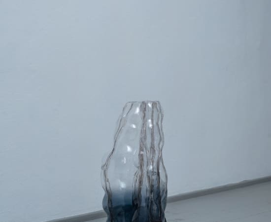 Dorian Renard, The Beauty of Distortion. Vase / Deformacijos grožis. Vaza, 2023