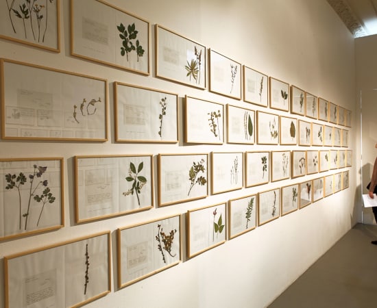 Laura Garbštienė, Gamtos pažinimo kambarys (77 vnt.) / Room of nature studies (77 pieces), 2012