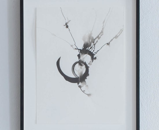 Žilvinas Kempinas, Fan Drawing 20101123-3, 2010