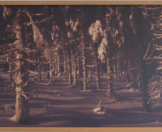 Laura Garbštienė, From the series Tundra, 2010
