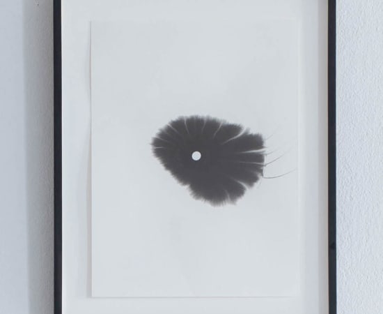 Žilvinas Kempinas, Fan Drawing 20101126-2, 2010