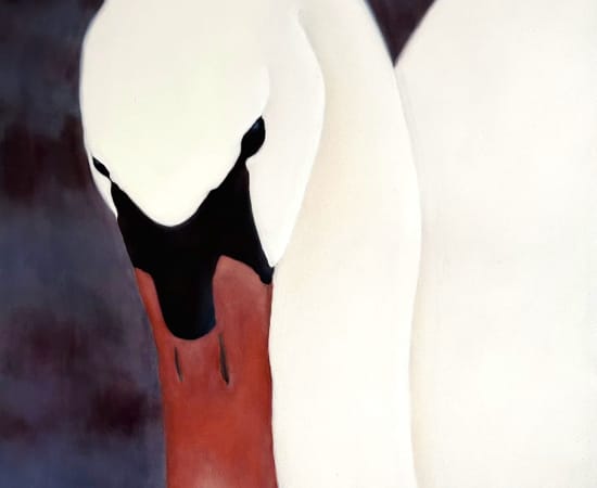 Liucija Pačkauskaitė, Gulbė Nebylė / Mute Swan, 2024