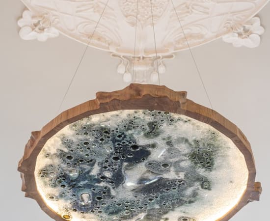 Paulina Vasiliauskaitė, Pelkė Laumėms*, Virš vandens / Swamp of Laumės, 2023