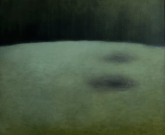 Liucija Pačkauskaitė, Peizažas su neprigijusiomis trešnėmis / A landscape without the cherry trees, 2024