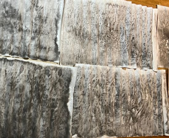 Zhengyao Zuo, Echoes of the Past, 2023