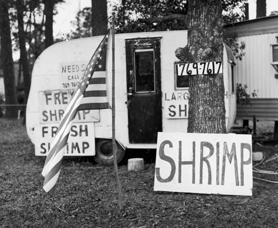 Dave Anderson, Call Dot For Shrimp, 2004