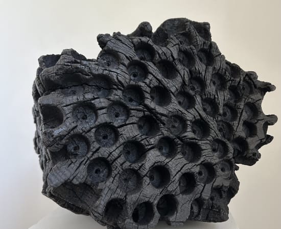 Lawrence Dicks, Birdham Oak, 2025