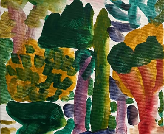 Spencer Shakespeare, Garden below the mountain, 2025