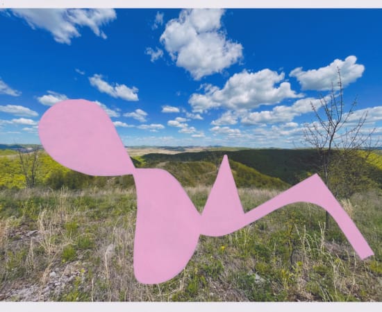 Julie Langsam, Landscape Intervention: Boone County, WV: Pink Shape #127, 2022