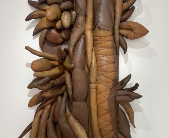 Elio Rodriguez, Black Forest, 2022