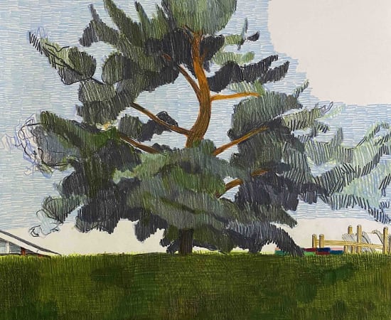 Per Adolfsen, The Big Tree in the Kindergarten, 2020