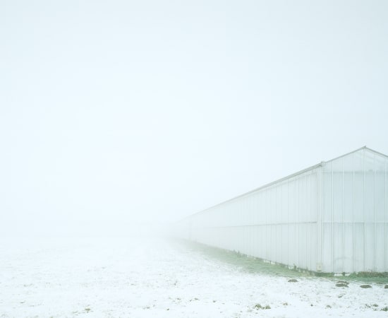 Mischa Keijser, Sneeuw en mist, Geertruidenberg, 2009