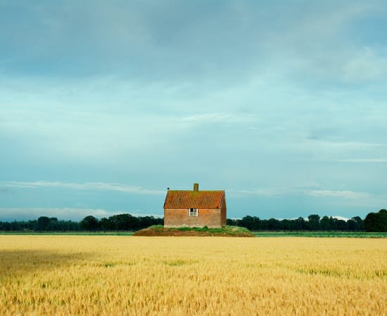 Mischa Keijser, Griendkeet, Biesbosch, 2010