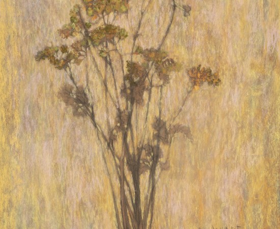 Martin Basdevant, Bouquet de statices , 2023