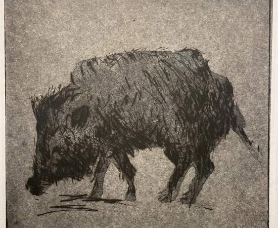 Astrid de La Forest, Empreinte (sanglier noir), 2014