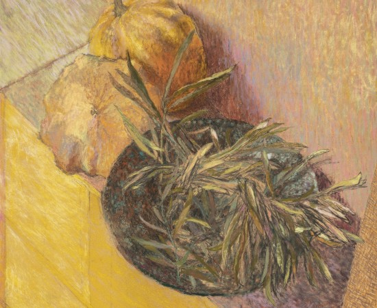 Martin Basdevant, Fruits et branches d'olivier, 2023