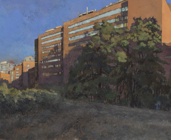 Charles-Élie Delprat, Madrid, hospital Jimenez Diaz, 2019