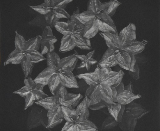 Judith Rothchild, Caramboles, 2016