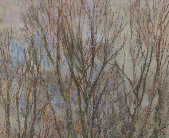 Martin Basdevant, Matin bleu - Les Trembles, 2023