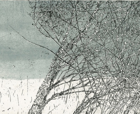 Anna Metz, Wintertakken (Branches hivernales), 2009