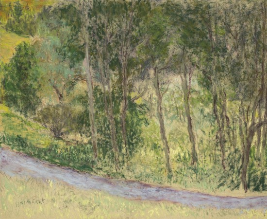 Martin Basdevant, Bosquet sur la route des Prats, 2023