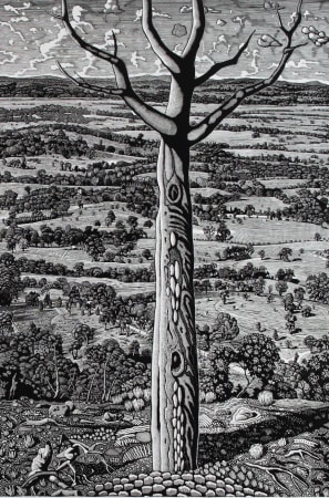 linocut of tree in natural landscape by Australian printmaker David Frazer 