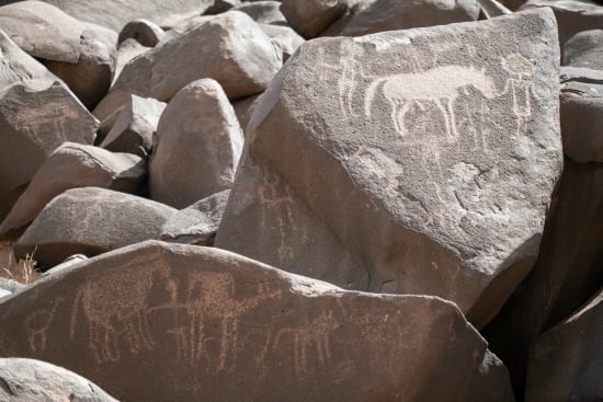 Raphael Avigdor Neolithic rock art in the Saharan desert