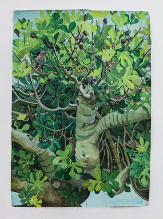 Sophie Charalambous, Fig Tree in Summer , 2021
