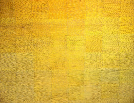 yellow oil painting by artist David Whitaker represented by Rebecca Hossack Gallery
