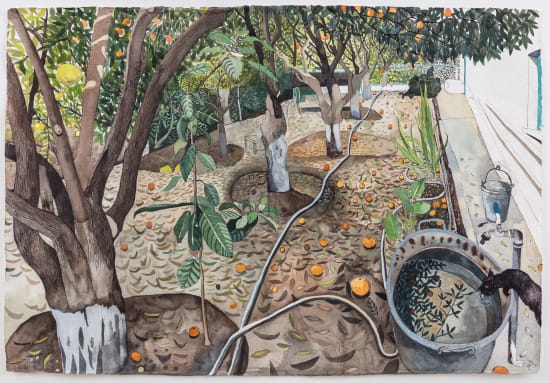 Sophie Charalambous, December Windfalls in Memo’s Garden, 2019