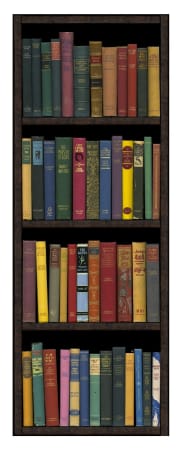 Bookshelf print by artist Phil Shaw represented by Rebecca Hossack Gallery