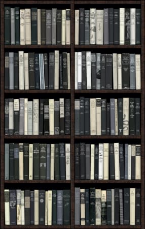 Black and white bookshelf print by artist Phil Shaw represented by Rebecca Hossack Gallery